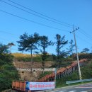 무룡고개 | 정상보다 억새밭이 더 예쁜 산, 장안산 무룡고개 코스 후기 🍂 장안산 최단코스