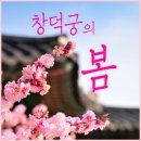 [ 종료 ] 제56차 정기답사 4/14(토)【 꽃대궐!! 창덕궁 봄꽃맞이 답사 】﻿ 이미지