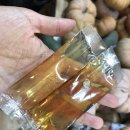 동해생아구나라 이미지