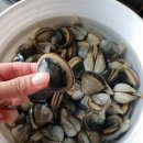 경호펜션 이미지