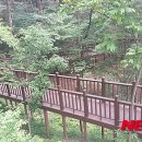 김해목재문화체험장 이미지