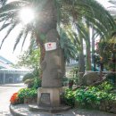 안녕 제주 이미지