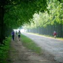 워킹/조깅 이미지