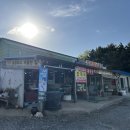 민영이네포장마차