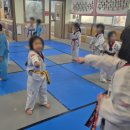 사랑 태권도 이미지