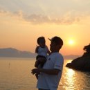 남해-310 이미지