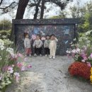 쏠레비치온수풀수영장 이미지