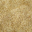 아마란스 이미지