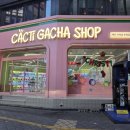 캑티가챠샵(CACTI GACHA SHOP) | 부평 산리오 캐릭터 인형뽑기 성지_가챠샵(CACTI GACHA SHOP) 부평점 솔직 후기