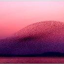 그대발길머무는곳에 이미지