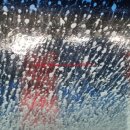 동신주유소 이미지