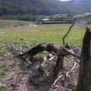 흑석산흑염소농장 이미지