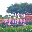 장미공원 | 부천 백만송이 장미축제 2026 후기｜도당공원 장미원 포토스팟부터 교통·개화정보까지 총정리