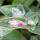 나그네쉼터 이미지