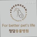 정직한 동물병원 | 평택동물병원 청담동물병원 정직한 진료로 신뢰 쌓는