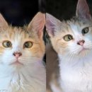 만나의집 이미지