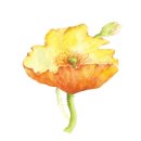 신양건기