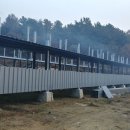 대동강업 이미지