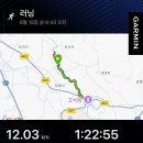 쇠둘레 | 철원 평화누리길 한여울길(한탄강 레저도로) LSD러닝 (12km)