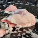 후스메디칼 이미지