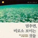 비로소