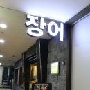 일루장어 이미지