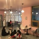 사단법인 한국동물구조관리협회 이미지