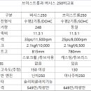 버시스와 브이스트롬 250 제원비교 이미지