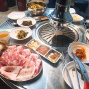 태백돈이네뒷고기 네이버블로그