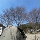 우리꽃캠핑장 | 가평 키즈·애견 캠핑 추천｜물소리 캠핑장 A6 구역 후기