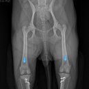 신리천로 이미지