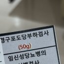 신기한물회나라 | 바쁘다 바빠 중기 임산부 일상