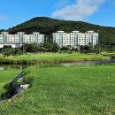 스톤비치 컨트리클럽 네이버블로그