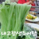내고향다슬기 | 진주 망경동 맛집 "내고향생초어탕" 몸에 좋은 깨운한 생다슬기칼국수와 추어탕 추천