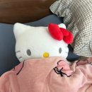 메모리친구 | 프로젝트슬립 동안 베게 메모리폼 경추베개 솔직 후기