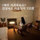 미들 도어 | 제주 서귀포 숙소 감성적인 독채펜션 미들도어