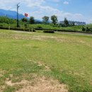 동락파크골프장 이미지