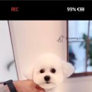 그루밍이즈 이미지