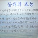 해맞이동태탕.찜 이미지