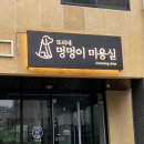 순심이 애견미용 | 김포 마산동 애견미용 또리네 멍멍이 미용실을 소개합니다! ps. 애견미용실 창업 후기