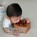 숲소리 - 마포구 독막로 291-3 | 7개월 아기 장난감 숲소리 두더지 가족찾기 원목 교구 후기 / 내돈내산