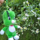 둘리노래연습장 이미지