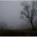 태백산가는길 이미지