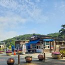 태안-안면-비상-9 | 충남 태안 단풍여행 아산원 산책길 안면도수목원