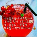 토요일오후 Daum카페