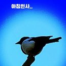 희소식 이미지