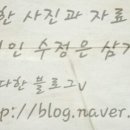 제주까망돼지동암점 이미지