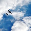 하늘을 날다 이미지