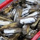 힐링인더삽교 이미지