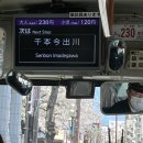 일정, 행사, 가볼만한 스팟 추천 : 로망스다리, 안민고개길, 해군사관학교, 장복산 조각공원, 경화역)